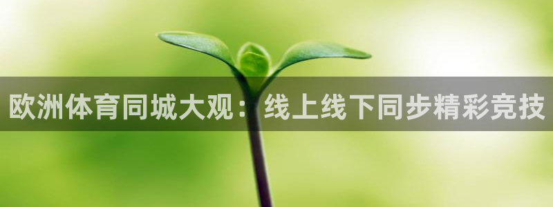 919体育直播：欧洲体育同城大观：线上线下同步精彩竞技
