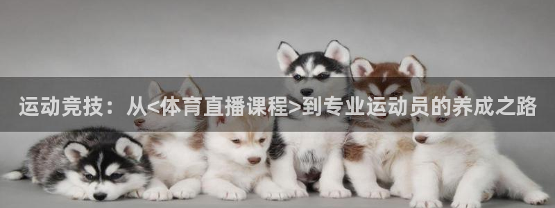 919体育直播下载：运动竞技：从<体育直播课程>到专业运动员的养成之路