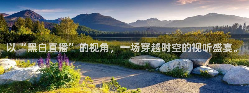 919nba直播：以“黑白直播”的视角，一场穿越时空的视听盛宴。