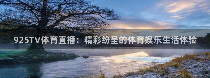 919直播：925TV体育直播：精彩纷呈的体育娱乐生活体验