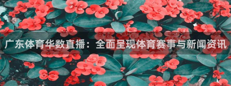 919足球直播：广东体育华数直播：全面呈现体育赛事与新闻资讯