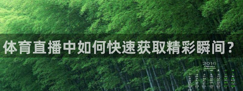 919直播足球版本1.0.7：体育直播中如何快速获取精彩瞬间？