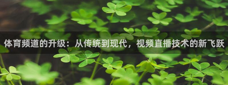 919直播间：体育频道的升级：从传统到现代，视频直播技术的新飞跃