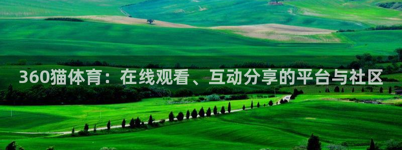 919直播看球 篮球比赛：360猫体育：在线观看、互动分享的平台与社区