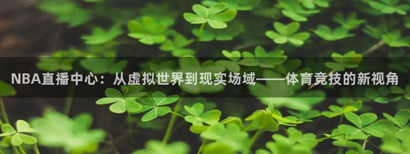 919nba直播篮球比赛