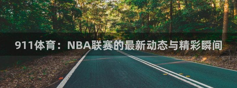 919直播看球 篮球比赛