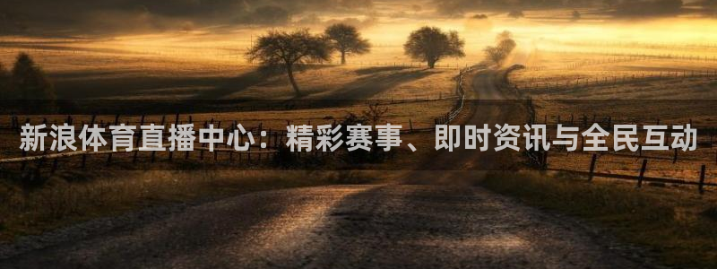 919体育直播间