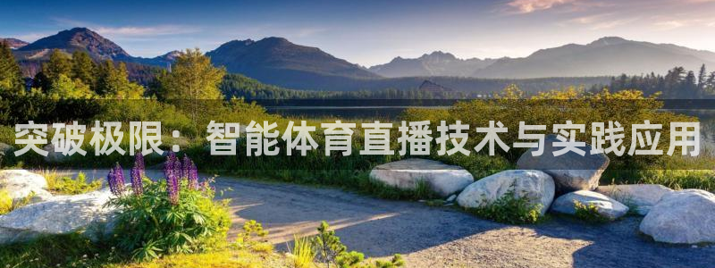 919体育直播平台在线观看
