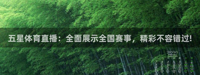 919足球直播间：五星体育直播：全面展示全国赛事，精彩不容错过!
