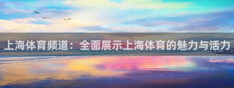 919直播体育在线直播在线看：上海体育频道：全面展示上海体育的魅力与活力